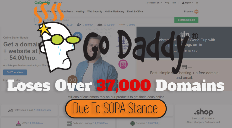 GoDaddy Loses Domains
