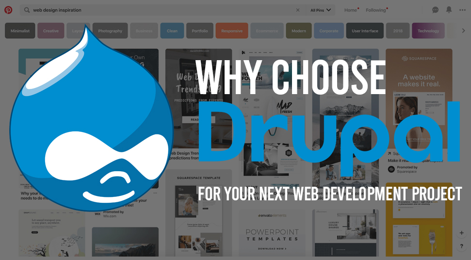 Why Choose Drupal For Your Next Web Development Project