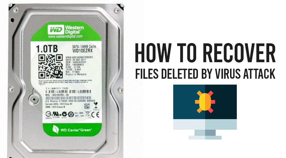 how to recover deleted files