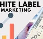 6 Reasons Why Startups Outsource Digital Marketing Services to White Label Agency