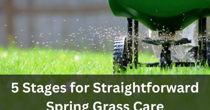 Spring Grass Care