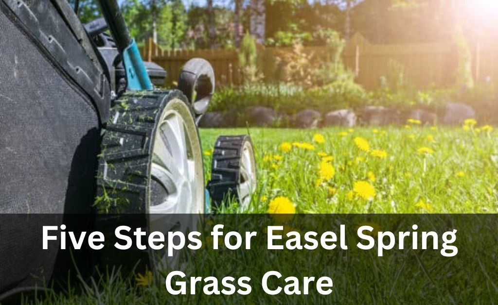 Spring Grass Care