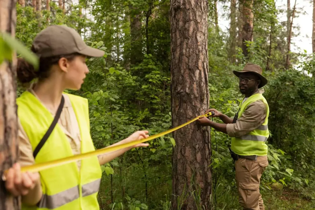 professional-arborist