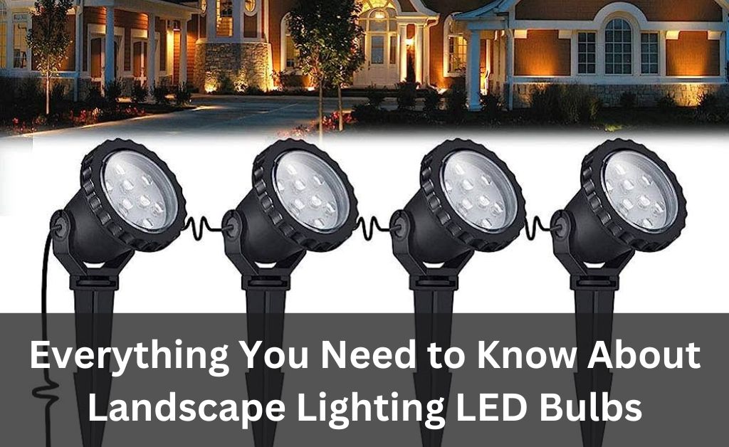 Everything You Need to Know About Landscape Lighting LED Bulbs