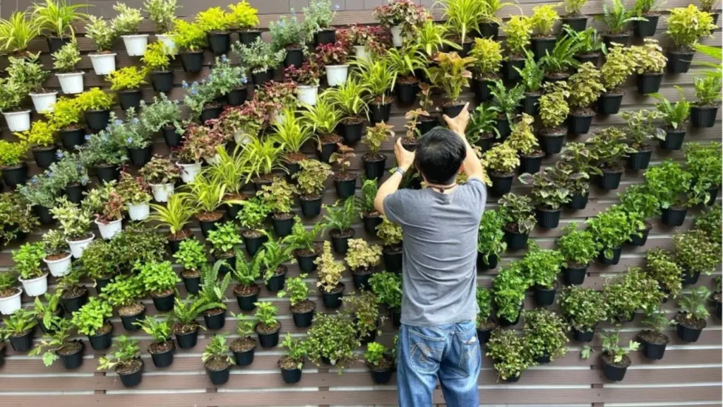 Vertical gardening