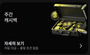 패리매치 프로모션