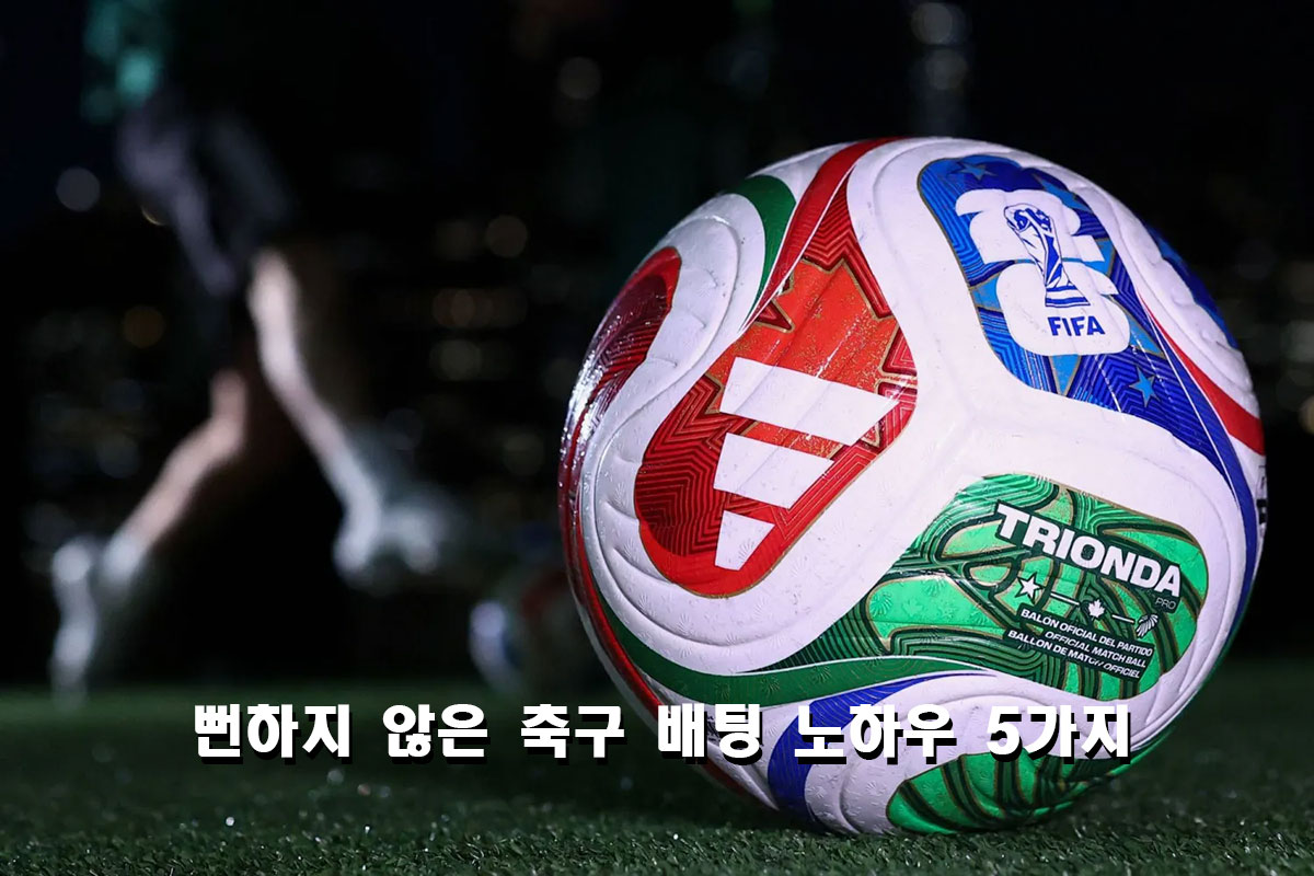 축구 배팅 노하우 5가지