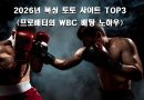 2026년 최고의 복싱 토토 사이트 TOP3