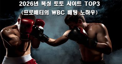 2026년 최고의 복싱 토토 사이트 TOP3