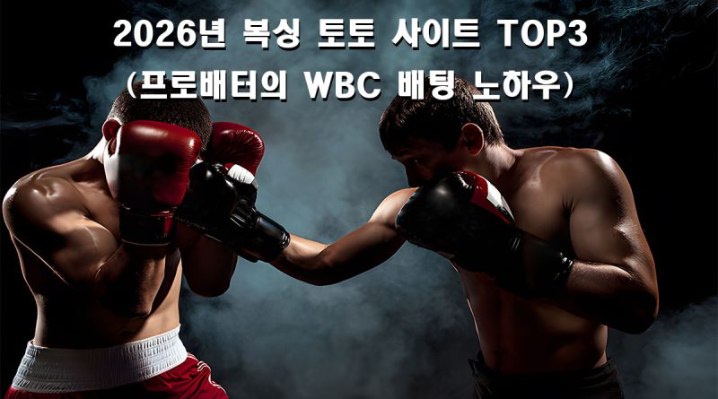 2026년 최고의 복싱 토토 사이트 TOP3