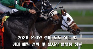 경마 베팅 주의사항