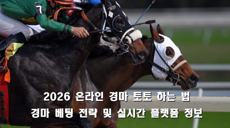 경마 베팅 주의사항