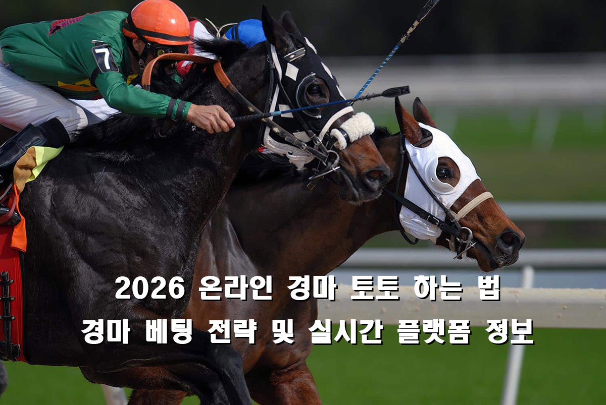 경마 베팅 주의사항