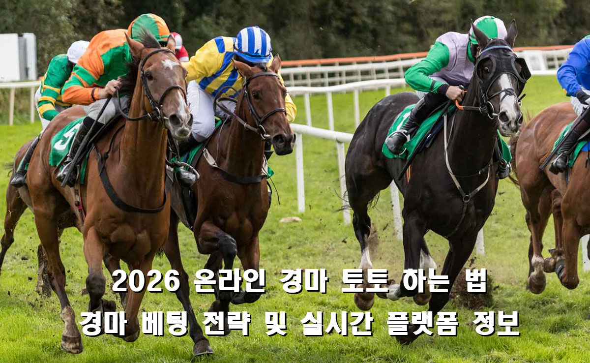 온라인 경마 베팅 전략